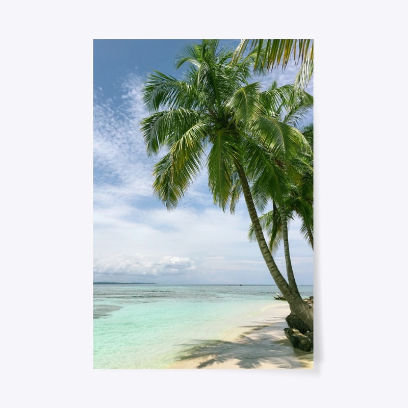 Palm Trees