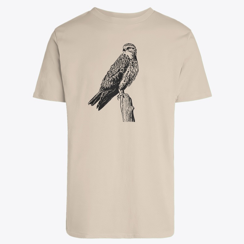 Birdwatching- Swainson's Hawk