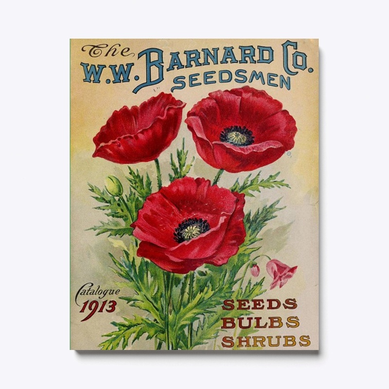 Vintage Red Poppies