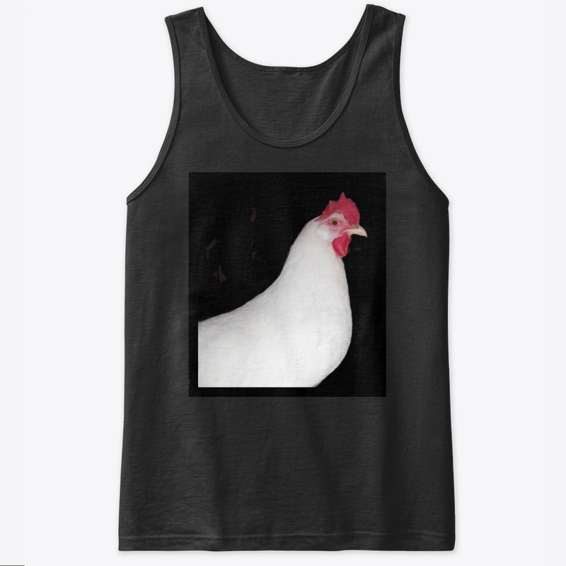 white leghorn hen chicken farm animal