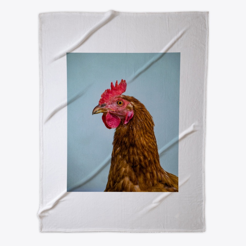 Chicken O'Clock 