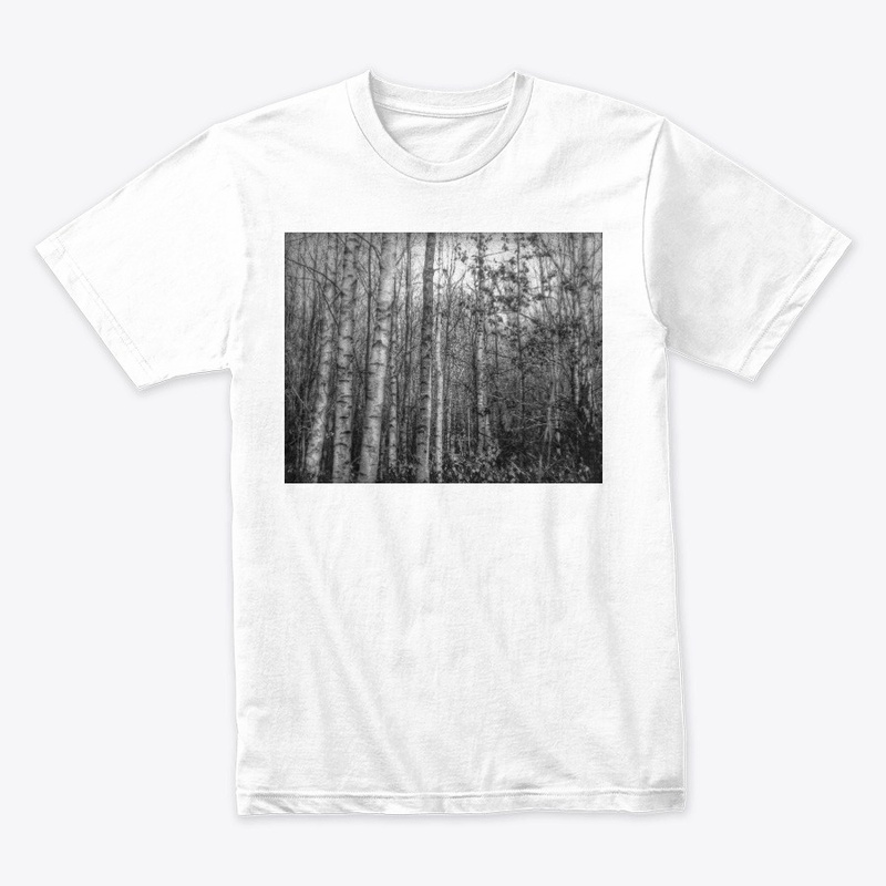 Silver Birch