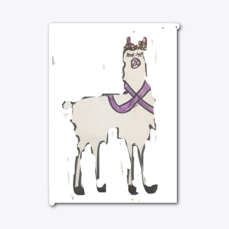 Llama Accessories