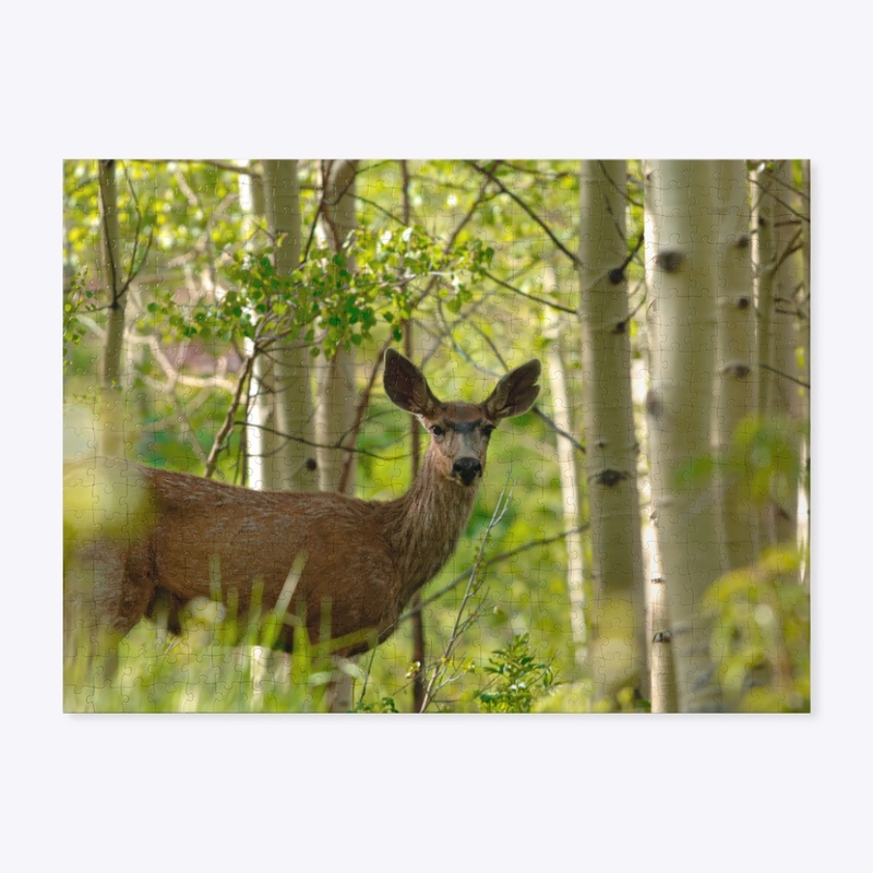 Deer
