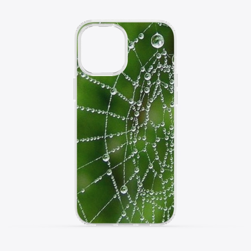Spider Web With Drops Of Water design