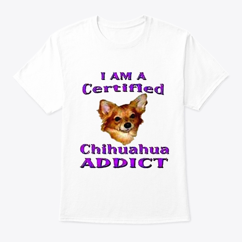 chihuahua 2