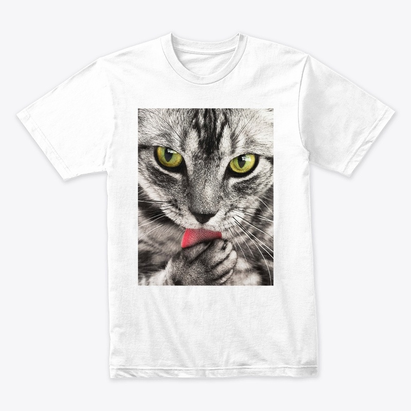  Cool Cat