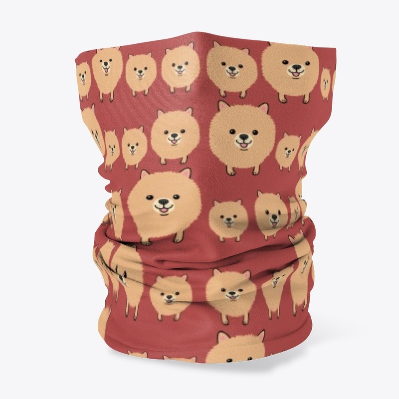 PET DOG POMERANIAN HAIRS BURN CALORIES  