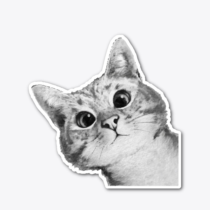 The curious Cat