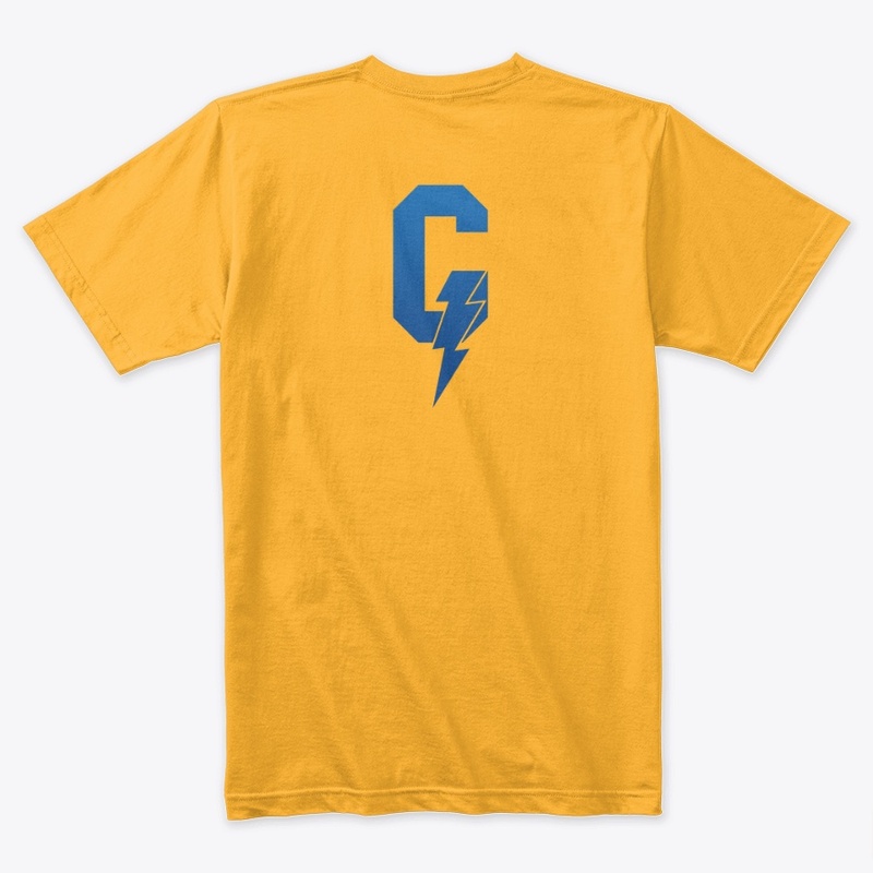 Gametricity Authentic