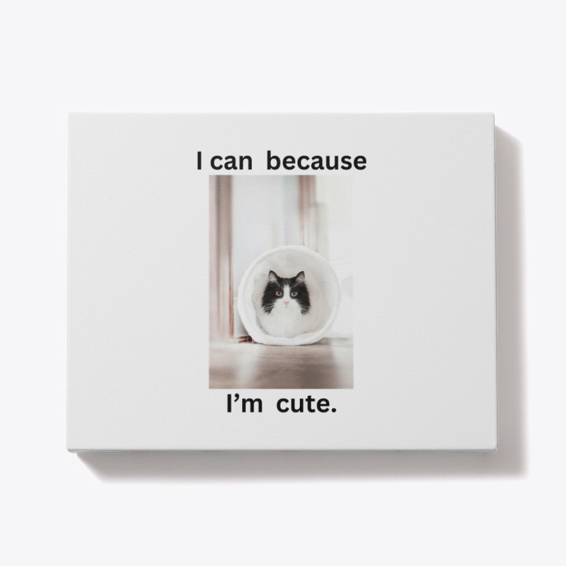 cute kitties