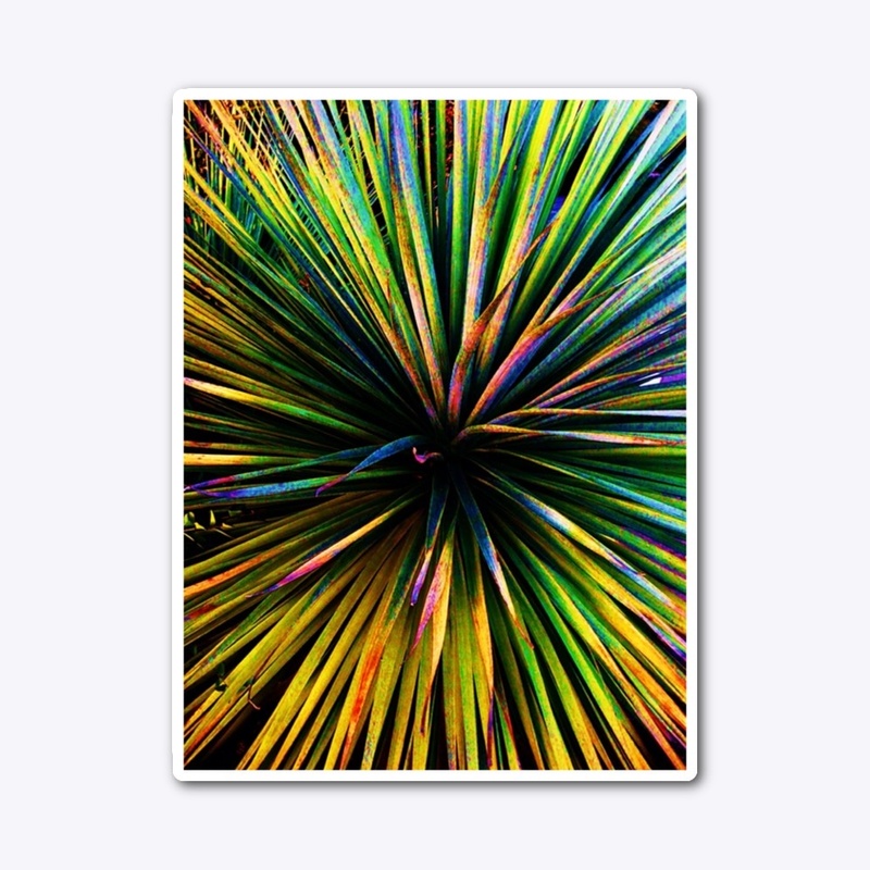 Colorful Yucca photo