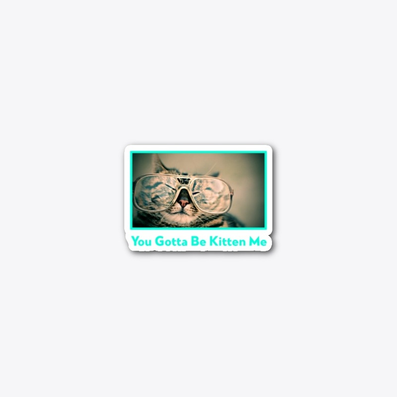 You Gotta Be Kitten Me | J.R. Designs