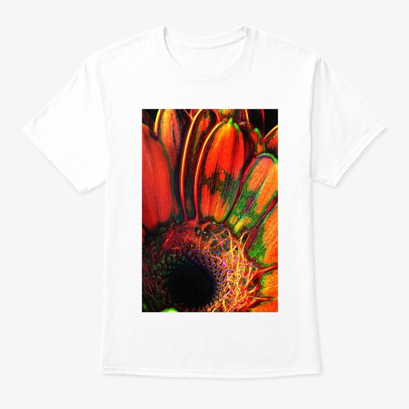 Abstract Orange Daisy