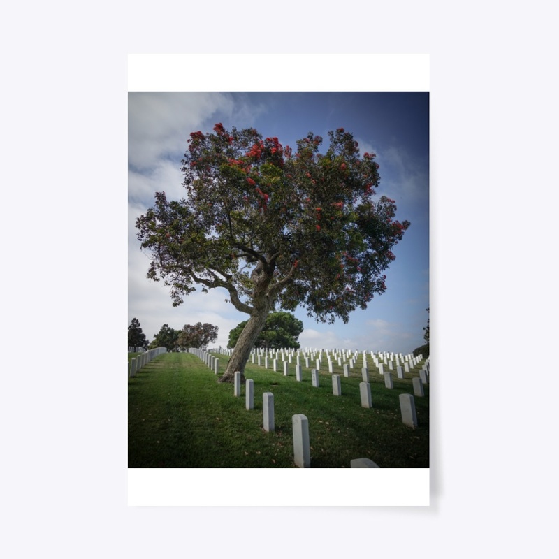 Fort Rosecrans National Cemetery