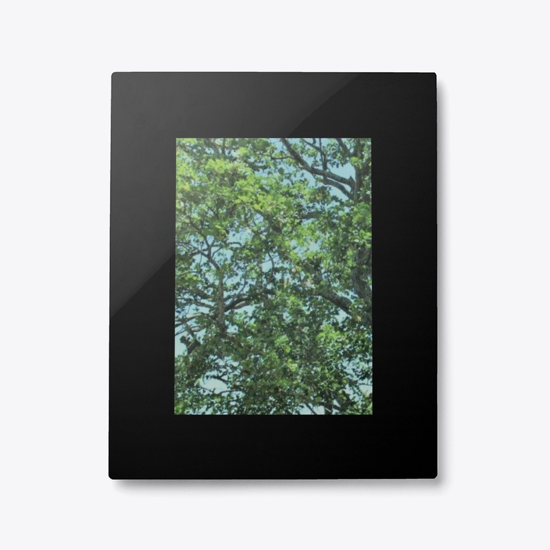 THE AERIAL TREE