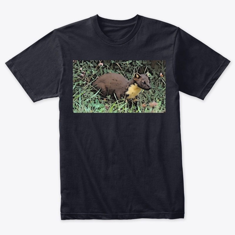 Pine Marten