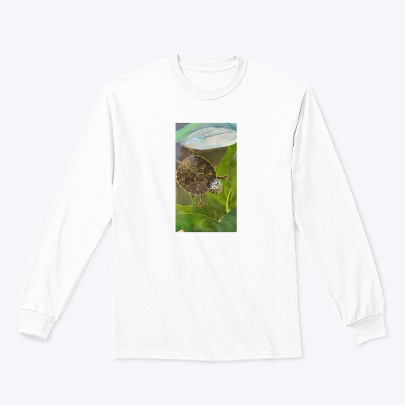 Turtle Vibes