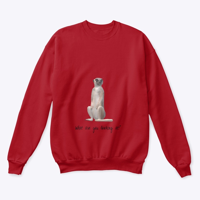 Meerkat shirt, what are you looking at??