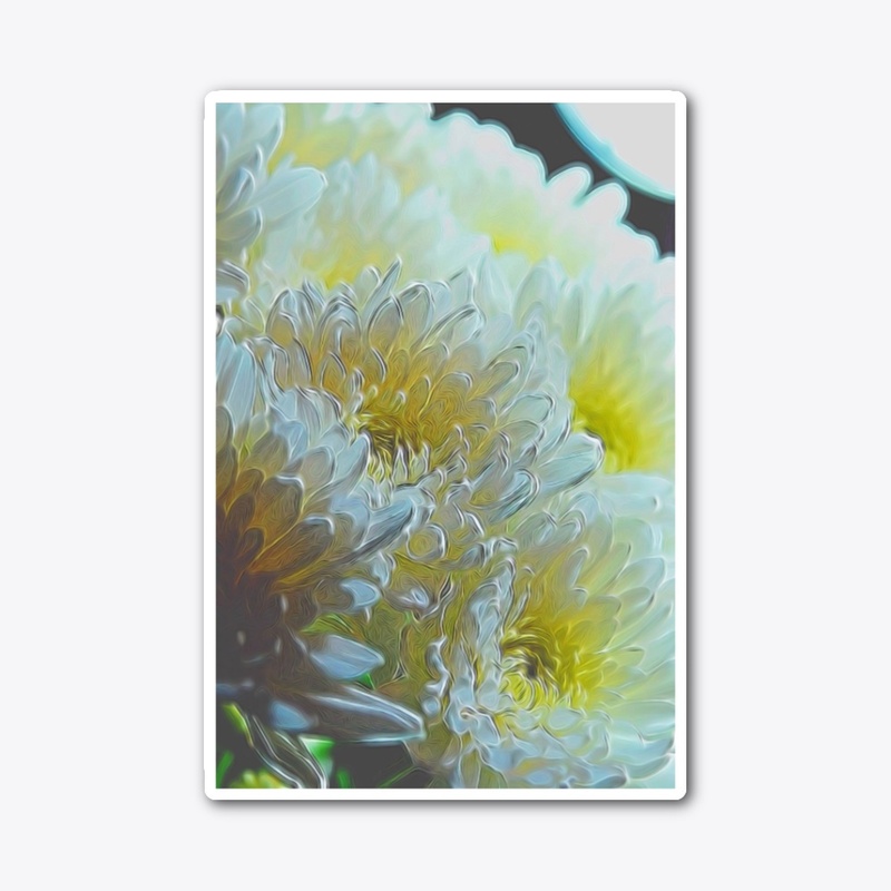 Chrysanthemums in The Light