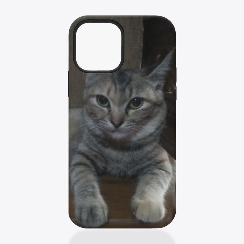 Mimi case