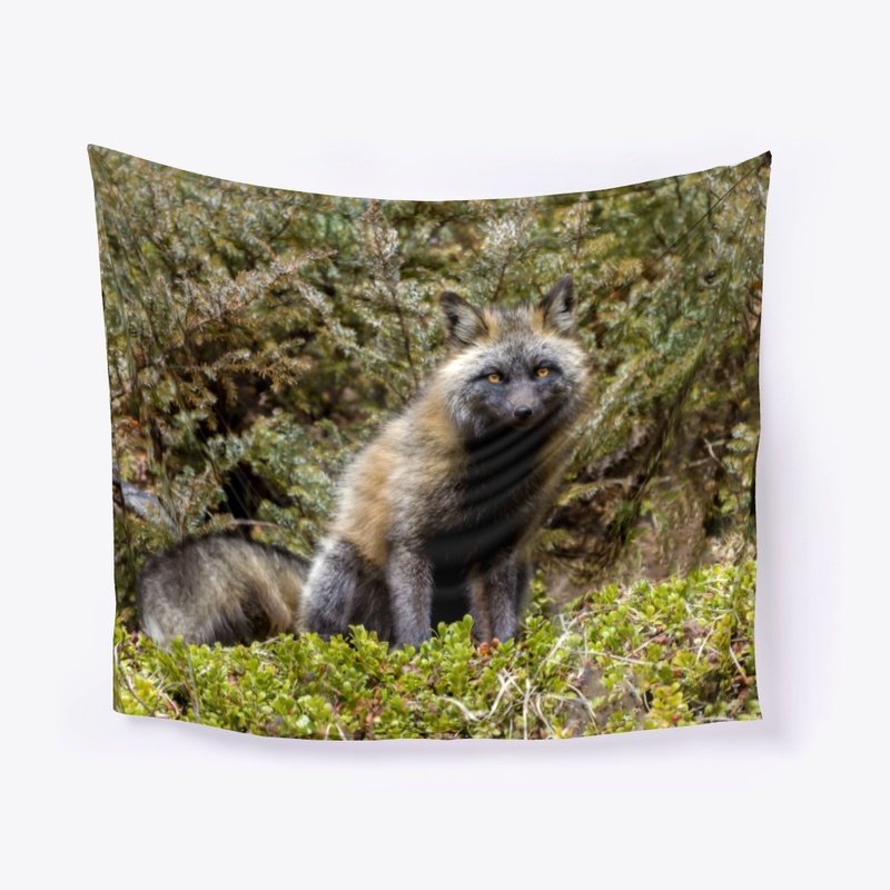 Cross Fox