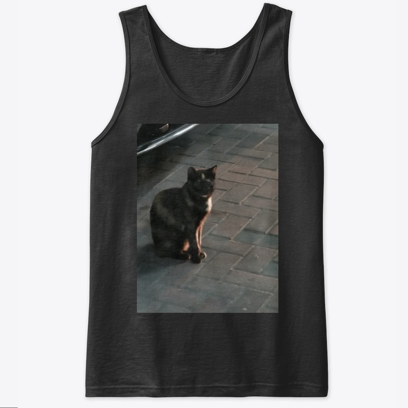 Cats lovers 2020