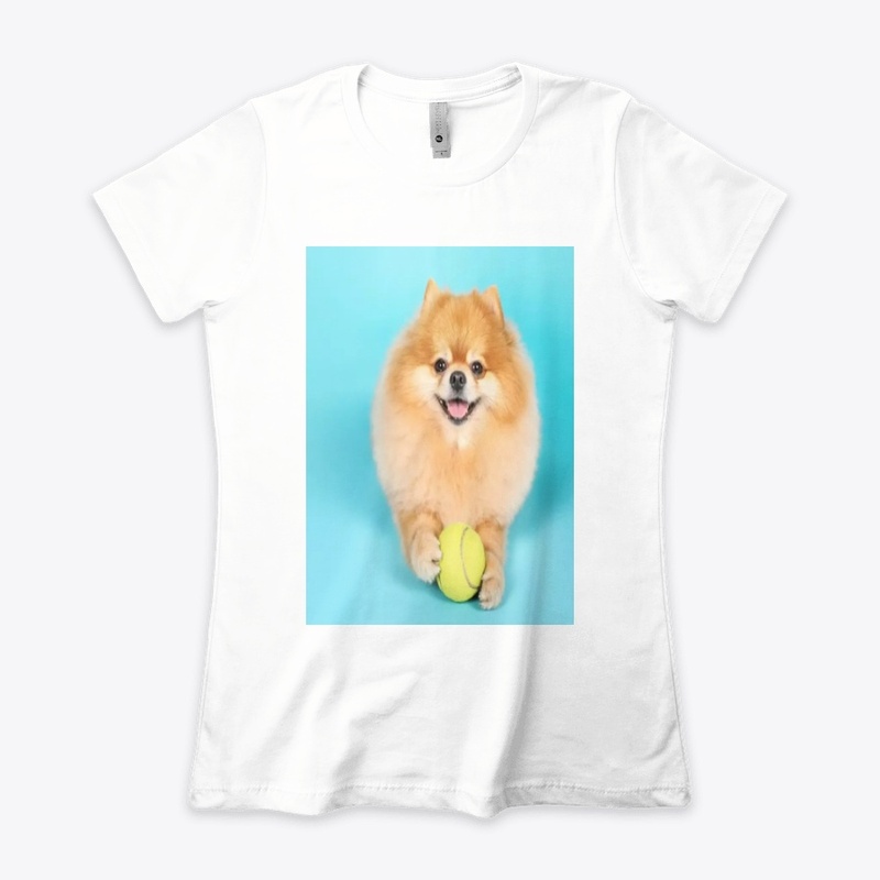 cute dog