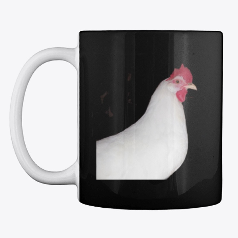 white leghorn hen chicken farm animal