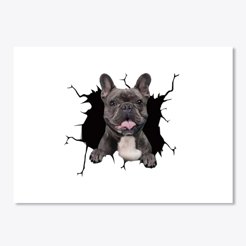 French bulldog