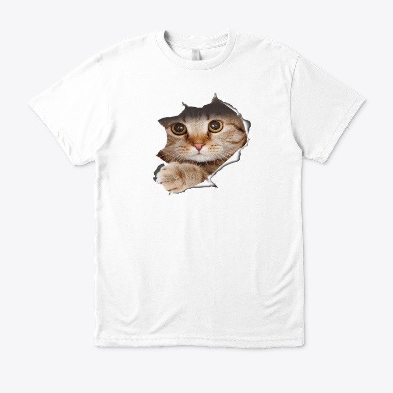 CAT IS COMING OUT