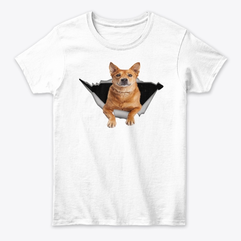 Dingo Carer