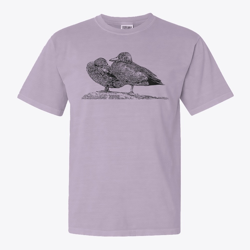 Cinnamon Teal