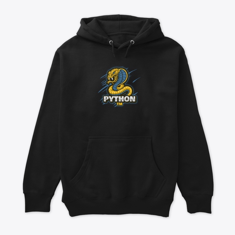 Python 