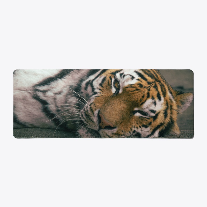 Big Cats 2