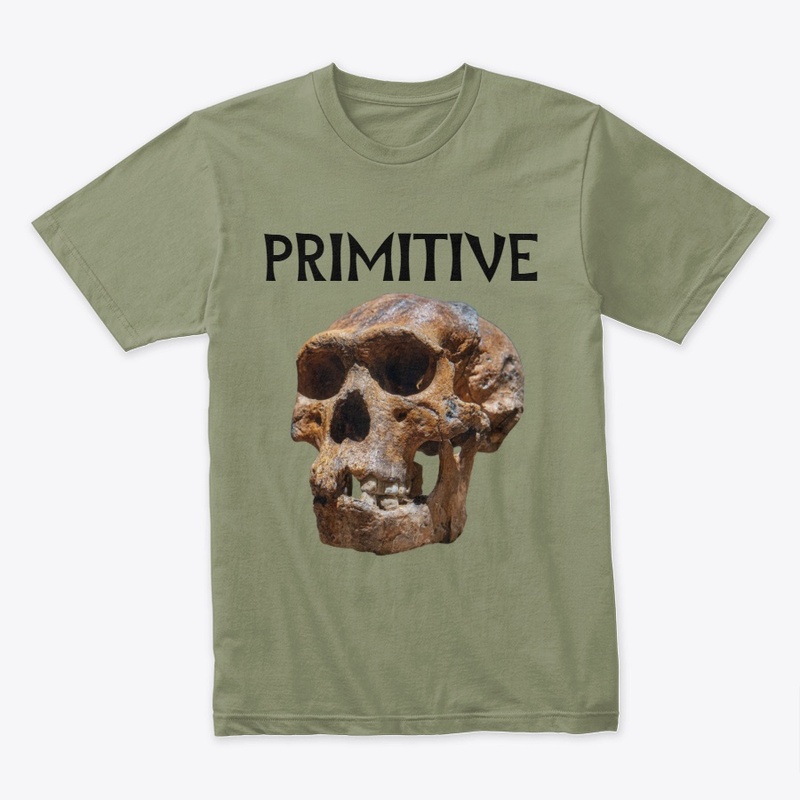 PRIMITIVE T-SHIRT