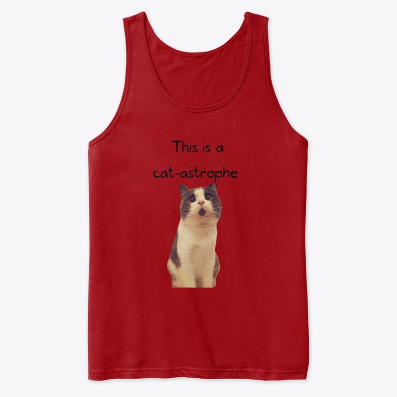 This is a cat-astrophe
