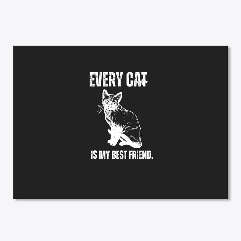 Every cat is my best friend.
