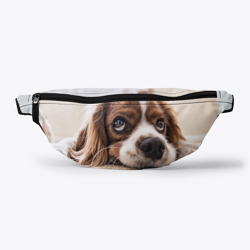 Summer Dog Face Mask