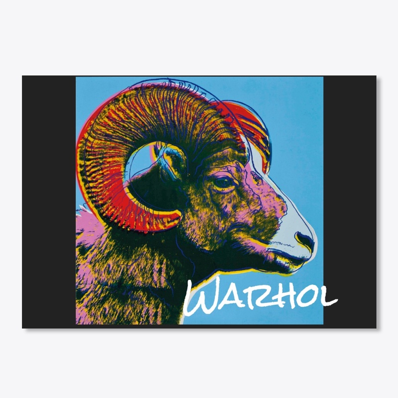 Everyday Ecofriendly Hoodie & Things