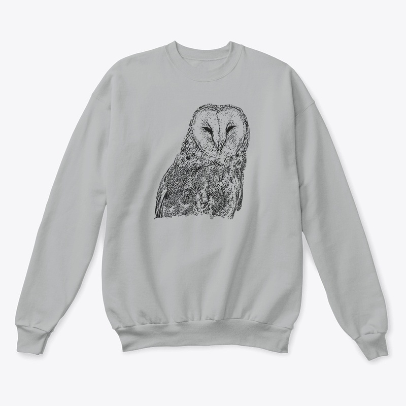Birdwatching For Barn Owls
