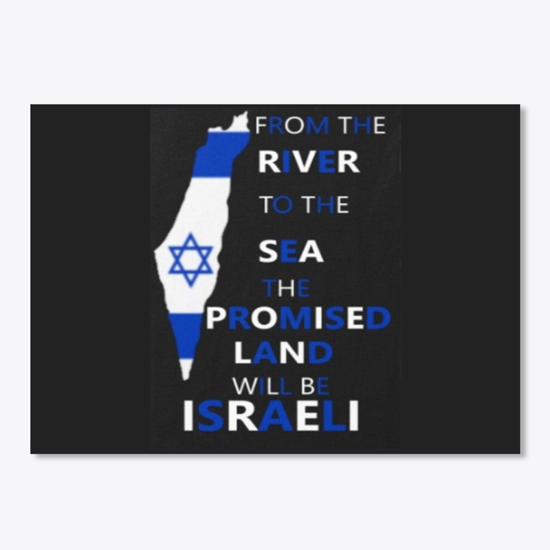 PRO ISRAELI SHIRT