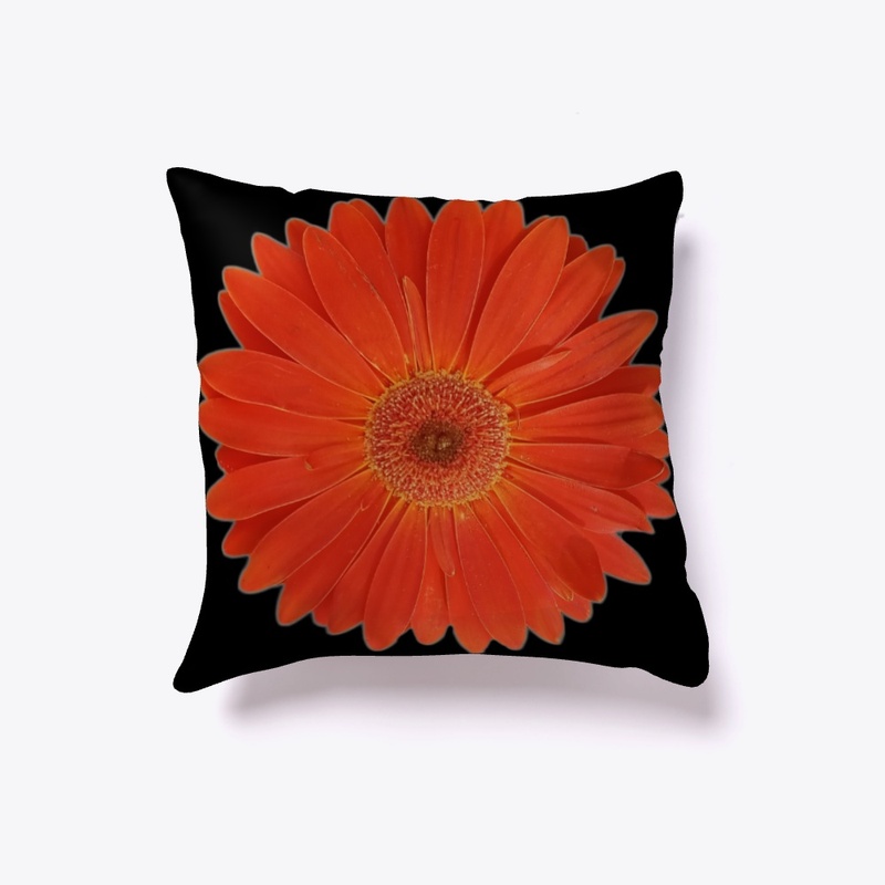 Vibrant Orange Gerbera