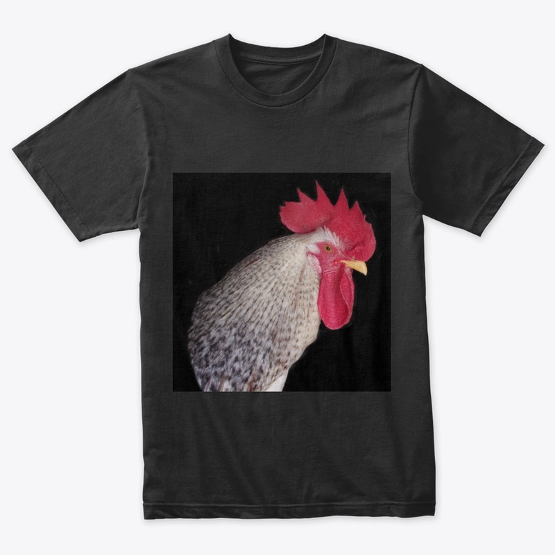 rooster2