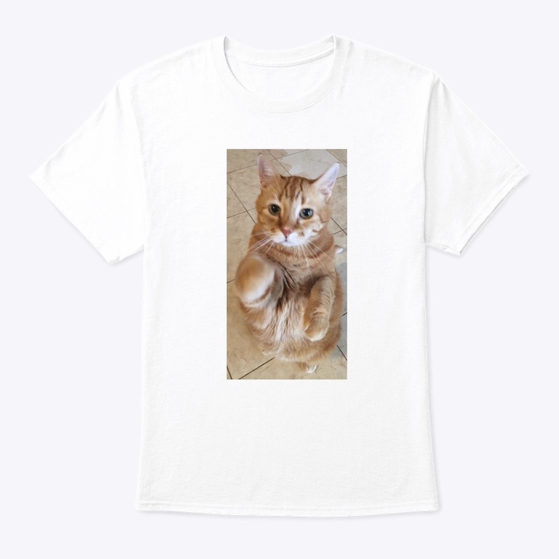 Morris the Cat Collection