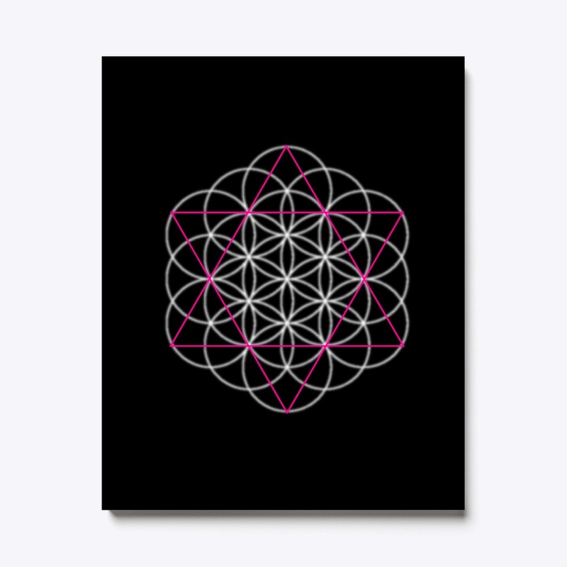 Sacred Geometry  life Tri-blend T-Shirt