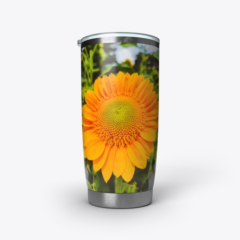 Un hermoso girasol