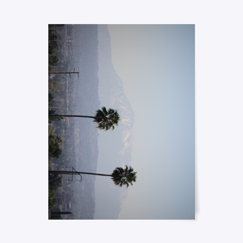 Two Palms
