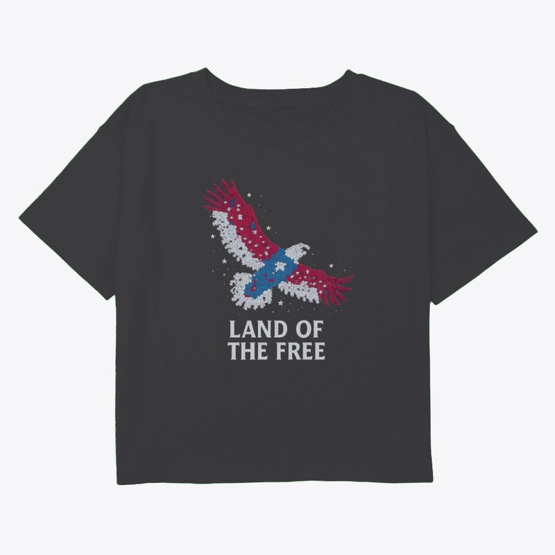 American eagle t-shirt land of the free