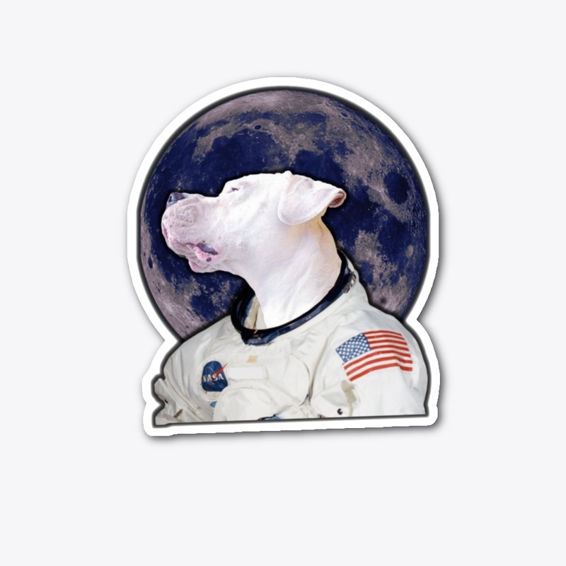 Dogonauts N.3 - To the moon and back